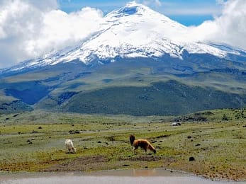 Ecuador Individualreisen