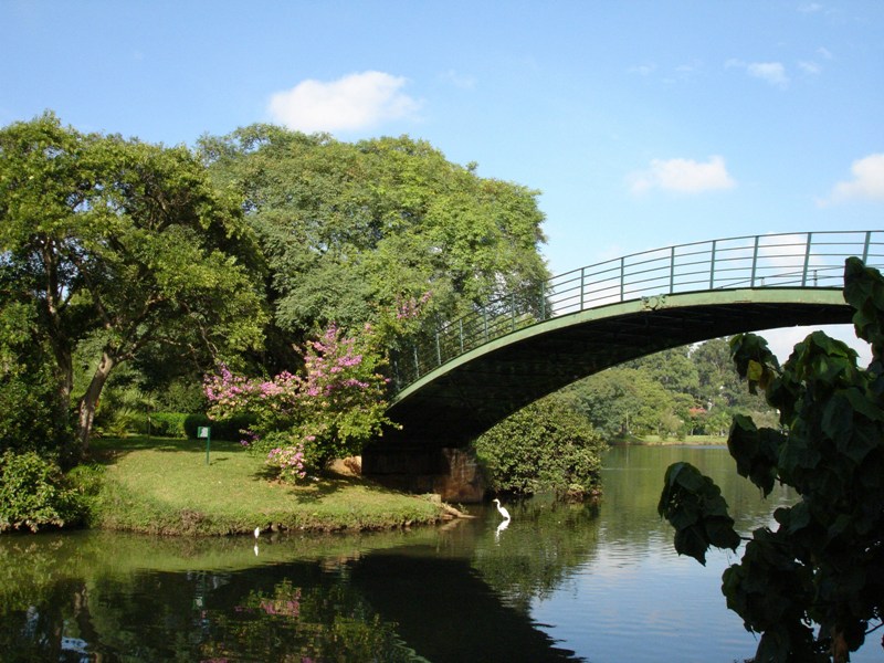 Parque Ibirapuera – Vila Mariana, São Paulo – SP, Brasil