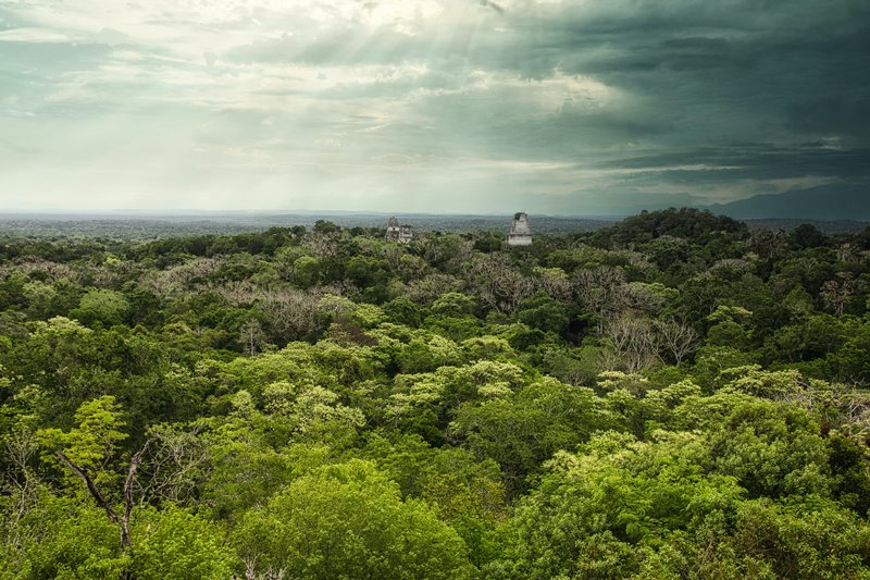 Nationalpark El Mirador - Guatemala