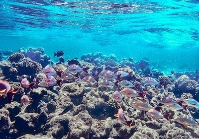 Zweitgrößtes Korallenriff - Belize Rundreisen